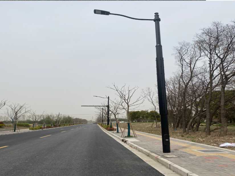 沙湾区上海综合杆 太阳能路灯工程